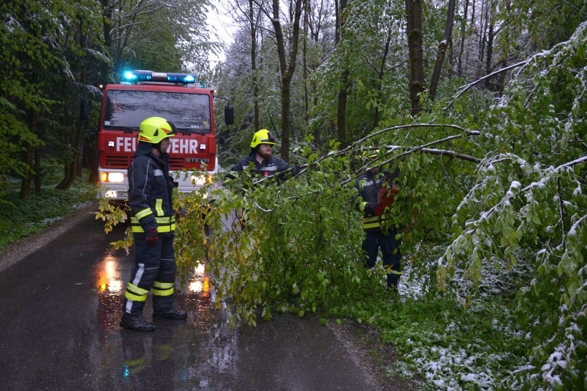 2017-04-28-ff-andorf-freimachen-von-verkehrswegen-wegen-schneedruck-DSC 0078