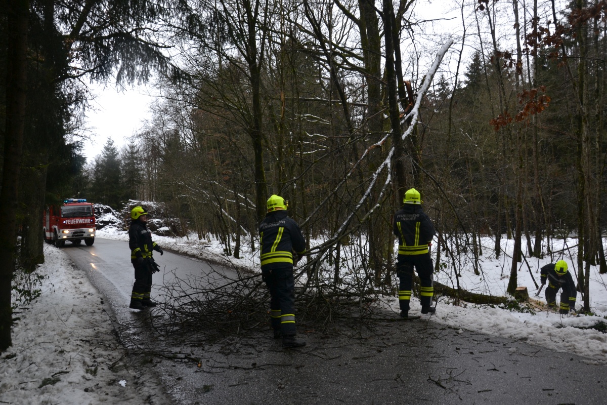 2019 01 13 FF Andorf Baum ueber Strasse WEB DSC 0180