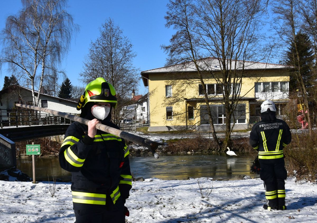 2021 02 13 FF Andorf Tierrettung Schwan in der gefrorenen Pram FFA 0080