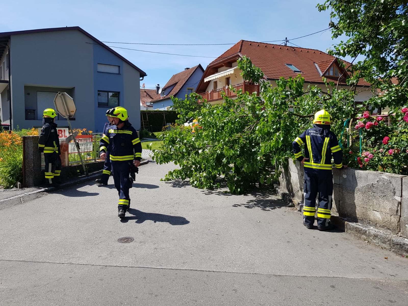 2021 06 27 FF Andorf Baum ueber Strasse Th Koerner Str 97b75f82 6975 4583 a8cb 5936823a1826