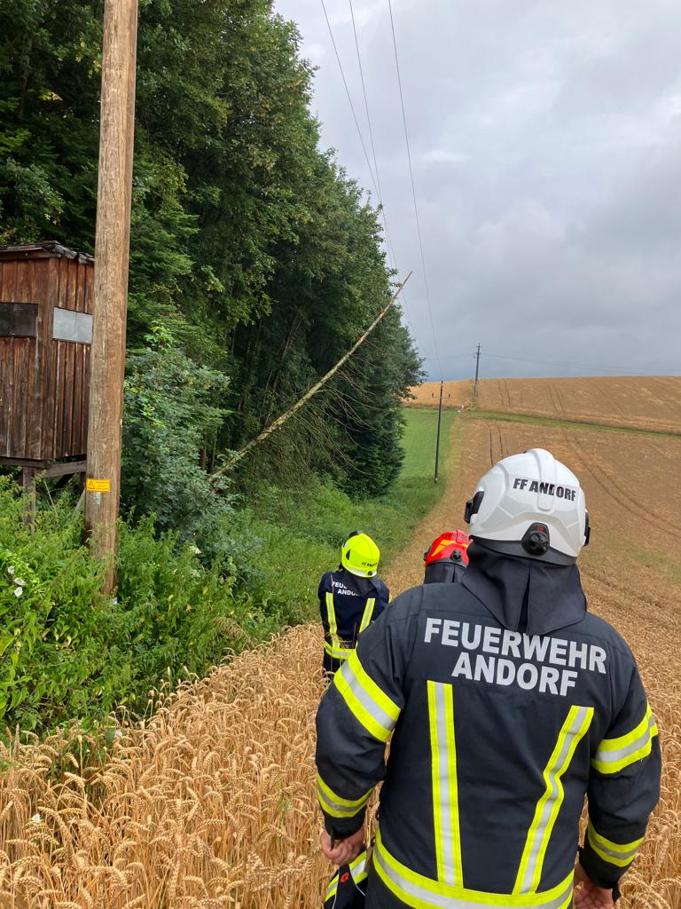 2023 07 17 FF Andorf Baum auf Stromleitung 6877fa9f a92e 4d57 a410 a822d1dcf370