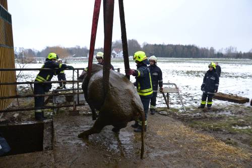 2015-02-11-FF-Andorf-Tierrettung-Kuh-in-Jauchegrube-DSC 6641 web