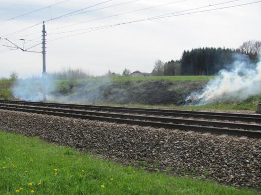 Brand einer Bahnböschung im Bereich Untergriesbach- 23.04.2012